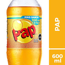 Bebida Bilz&pap Pap 600 ml